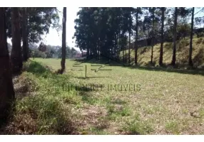 Foto 1 de Lote/Terreno para alugar, 10500m² em Itaquera, São Paulo