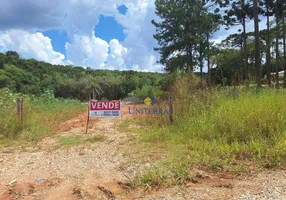 Foto 1 de Fazenda/Sítio à venda, 4000m² em São Dimas, Colombo