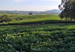 Foto 1 de Fazenda/Sítio com 3 Quartos à venda, 40m² em Area Rural de Santa Cruz da Conceicao, Santa Cruz da Conceição