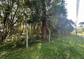 Foto 1 de Lote/Terreno à venda, 1200m² em Parque das Hortênsias, Canela