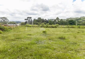 Foto 1 de Lote/Terreno à venda, 362m² em Riozinho, Irati