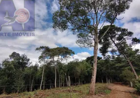 Foto 1 de Lote/Terreno à venda, 5000m² em Bateias de Baixo, Campo Alegre