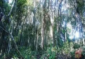 Foto 1 de Lote/Terreno à venda em Parque das Cigarreiras, Taboão da Serra