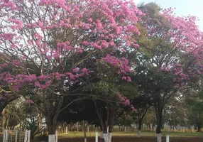 Foto 1 de Fazenda/Sítio com 4 Quartos à venda, 600m² em Zona Rural, Paraopeba