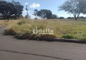 Foto 1 de Lote/Terreno à venda, 290m² em Residencial Fruta do Conde, Uberlândia