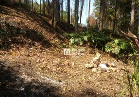 Foto 1 de Lote/Terreno à venda, 2231m² em Centro, Nova Friburgo