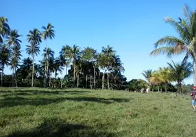 Foto 1 de Fazenda/Sítio com 3 Quartos à venda, 120000m² em Mae ba, Anchieta