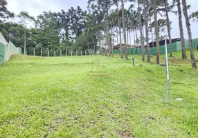 Foto 1 de Lote/Terreno com 1 Quarto à venda, 1000m² em Augusta, Curitiba