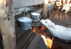 Foto 1 de Fazenda/Sítio com 6 Quartos à venda, 500m² em , Alpinópolis