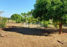 Foto 1 de Fazenda/Sítio à venda, 2800m² em Area Rural de Uberlandia, Uberlândia