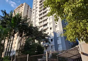 Foto 1 de Apartamento com 2 Quartos para alugar, 60m² em Cidade Mae Do Ceu, São Paulo