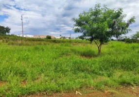 Foto 1 de Lote/Terreno à venda, 50m² em , Santo Antônio da Platina