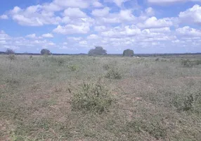 Foto 1 de Fazenda/Sítio com 5 Quartos à venda, 570000m² em Centro, 