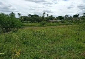 Foto 1 de Fazenda/Sítio à venda, 20000m² em Novo Amarante, São Gonçalo do Amarante