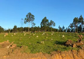 Foto 1 de Lote/Terreno à venda, 1000m² em Jardim Dulce, Guararema