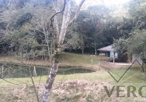 Foto 1 de Lote/Terreno à venda, 35000m² em Forqueta, Caxias do Sul