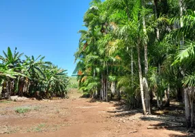 Foto 1 de Fazenda/Sítio à venda, 5000m² em Maravilha, Londrina