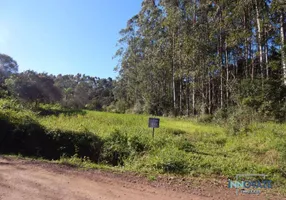 Foto 1 de Lote/Terreno à venda, 30000m² em , São José do Hortêncio