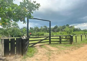 Foto 1 de Fazenda/Sítio à venda, 20000m² em Zona Rural, Humaitá