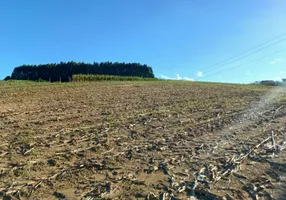 Foto 1 de Fazenda/Sítio com 1 Quarto à venda, 2500m² em Roça Velha, São José dos Pinhais