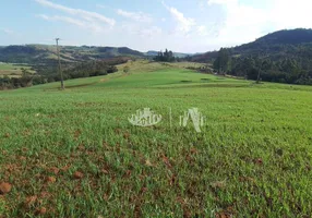 Foto 1 de Fazenda/Sítio à venda, 212960m² em Rural, Tamarana