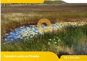 Foto 1 de Fazenda/Sítio com 2 Quartos à venda, 695000m² em , Pirambu