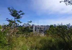 Foto 1 de Lote/Terreno à venda, 384m² em Santa Lúcia, Belo Horizonte