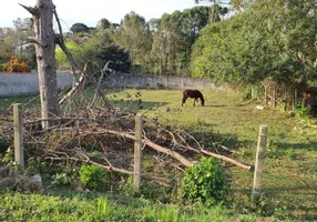 Foto 1 de Lote/Terreno à venda, 1505m² em Planta São Tiago, Piraquara