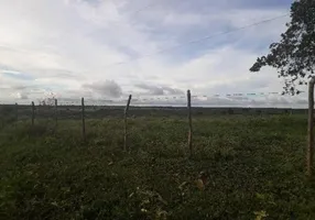 Foto 1 de Fazenda/Sítio com 3 Quartos à venda, 30000m² em Centro, Lagoa Salgada