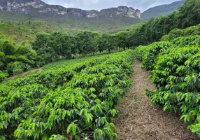 Foto 1 de Fazenda/Sítio à venda, 73000m² em Centro, Ibicoara