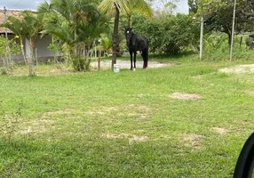 Foto 1 de Fazenda/Sítio com 3 Quartos à venda, 40000m² em Arembepe, Camaçari