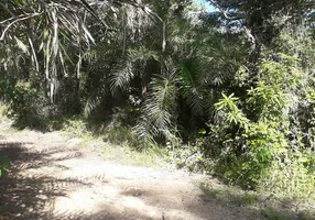 Foto 1 de Fazenda/Sítio à venda, 1300000m² em Zona Rural, Jandaíra