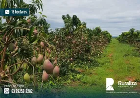 Foto 1 de Fazenda/Sítio à venda, 16m² em Centro, Porto Alegre do Tocantins