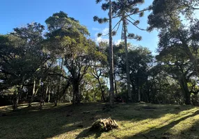 Foto 1 de Fazenda/Sítio à venda, 14000m² em Avenquinha, Campo Alegre