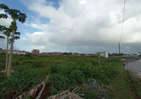 Foto 1 de Lote/Terreno à venda, 800m² em Nossa Senhora do Ó, Ipojuca