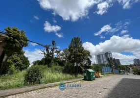 Foto 1 de Lote/Terreno à venda, 1500m² em Panazzolo, Caxias do Sul