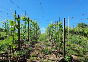 Foto 1 de Fazenda/Sítio com 1 Quarto à venda, 24000m² em Centro, Monte Belo do Sul