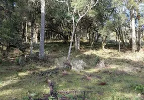 Foto 1 de Fazenda/Sítio à venda, 30000m² em Zona Rural, Urubici