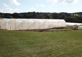 Foto 1 de Fazenda/Sítio à venda, 30250m² em Centro, Lapa