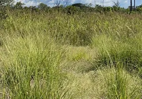 Foto 1 de Fazenda/Sítio à venda em Zona Rural, Abadia de Goiás