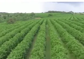 Foto 1 de Fazenda/Sítio à venda, 100m² em Zona Rural, Indiaporã