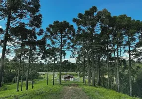 Foto 1 de Fazenda/Sítio à venda, 540000m² em Zona Rural, Bocaina do Sul