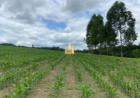 Foto 1 de Fazenda/Sítio com 7 Quartos à venda, 300m² em São José, Esmeraldas