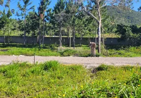 Foto 1 de Lote/Terreno à venda, 250m² em Ratones, Florianópolis