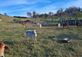 Foto 1 de Fazenda/Sítio com 4 Quartos à venda, 60500m² em Zona Rural, Monte Alegre do Sul