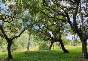 Foto 1 de Fazenda/Sítio à venda, 33000m² em Centro, Bocaina do Sul