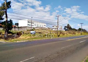 Foto 1 de para alugar, 495m² em Jardim Carvalho, Ponta Grossa