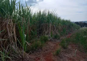 Foto 1 de Fazenda/Sítio com 1 Quarto à venda, 254100m² em Zona Rural, São Simão