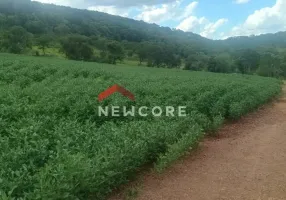 Foto 1 de Fazenda/Sítio com 3 Quartos à venda, 200m² em , Lindoeste