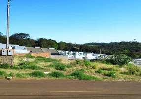 Foto 1 de Lote/Terreno à venda, 360m² em Cascavel Velho, Cascavel